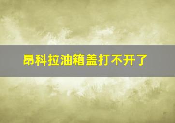 昂科拉油箱盖打不开了