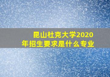 昆山杜克大学2020年招生要求是什么专业