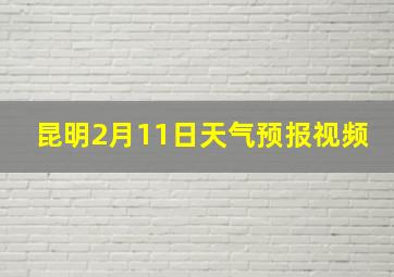 昆明2月11日天气预报视频