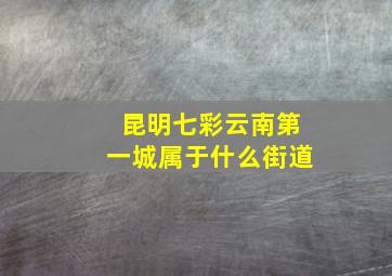 昆明七彩云南第一城属于什么街道