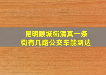 昆明顺城街清真一条街有几路公交车能到达