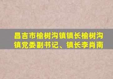 昌吉市榆树沟镇镇长榆树沟镇党委副书记、镇长李肖南