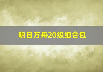 明日方舟20级组合包