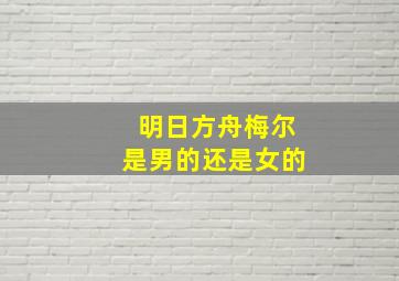 明日方舟梅尔是男的还是女的