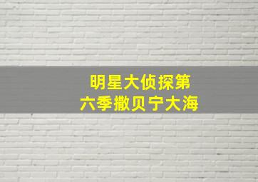 明星大侦探第六季撒贝宁大海