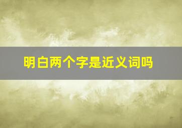 明白两个字是近义词吗