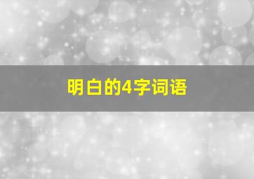 明白的4字词语