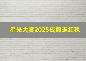 星光大赏2025成毅走红毯