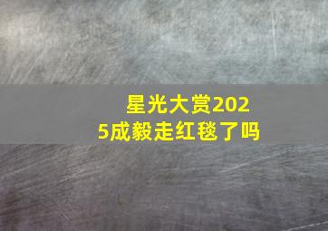 星光大赏2025成毅走红毯了吗