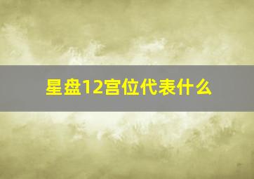 星盘12宫位代表什么