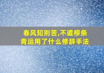 春风知别苦,不遣柳条青运用了什么修辞手法