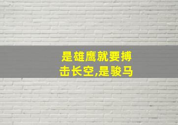 是雄鹰就要搏击长空,是骏马