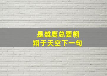 是雄鹰总要翱翔于天空下一句