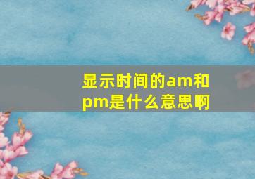 显示时间的am和pm是什么意思啊