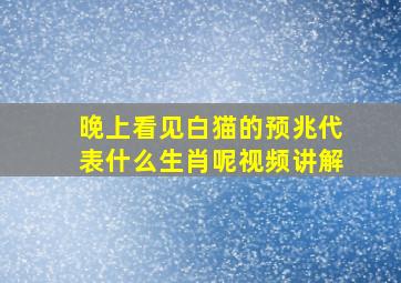 晚上看见白猫的预兆代表什么生肖呢视频讲解