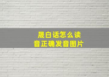 晟白话怎么读音正确发音图片