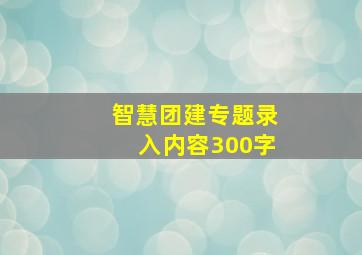 智慧团建专题录入内容300字