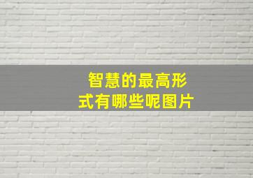 智慧的最高形式有哪些呢图片