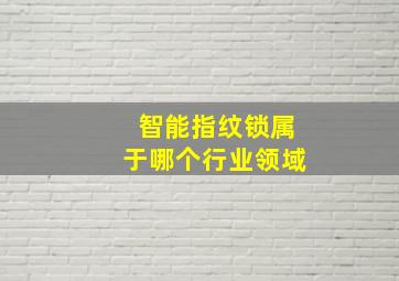 智能指纹锁属于哪个行业领域