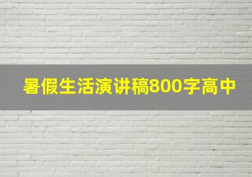 暑假生活演讲稿800字高中