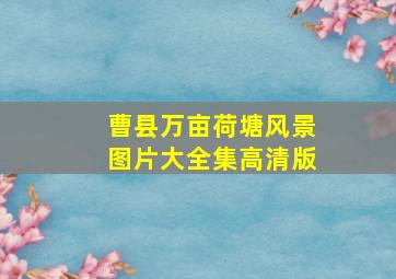 曹县万亩荷塘风景图片大全集高清版