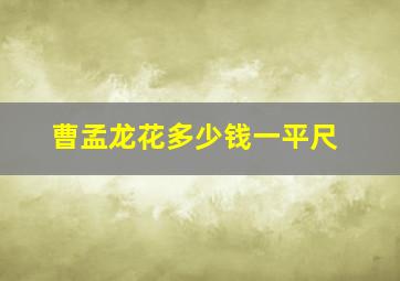 曹孟龙花多少钱一平尺