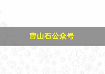 曹山石公众号