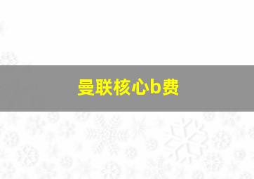 曼联核心b费