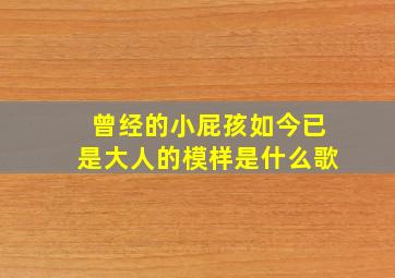 曾经的小屁孩如今已是大人的模样是什么歌