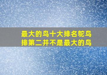 最大的鸟十大排名鸵鸟排第二并不是最大的鸟