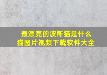 最漂亮的波斯猫是什么猫图片视频下载软件大全