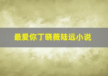 最爱你丁晓薇陆远小说