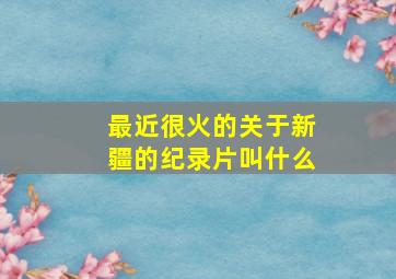 最近很火的关于新疆的纪录片叫什么