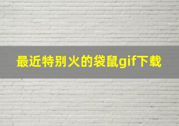 最近特别火的袋鼠gif下载