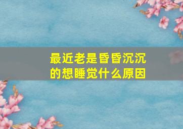 最近老是昏昏沉沉的想睡觉什么原因