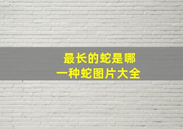 最长的蛇是哪一种蛇图片大全