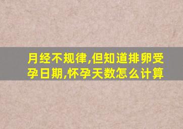 月经不规律,但知道排卵受孕日期,怀孕天数怎么计算