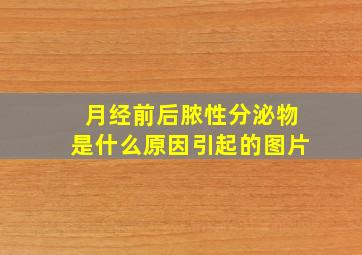 月经前后脓性分泌物是什么原因引起的图片