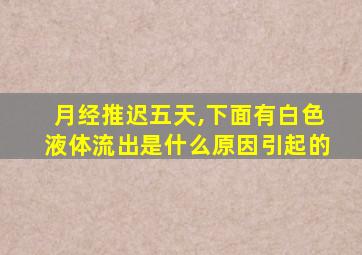 月经推迟五天,下面有白色液体流出是什么原因引起的