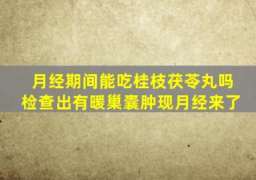 月经期间能吃桂枝茯苓丸吗检查出有暖巢囊肿现月经来了