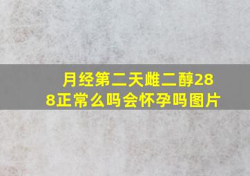 月经第二天雌二醇288正常么吗会怀孕吗图片