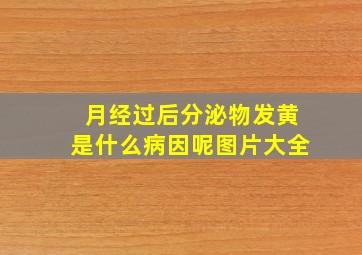 月经过后分泌物发黄是什么病因呢图片大全