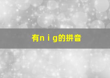 有nⅰg的拼音