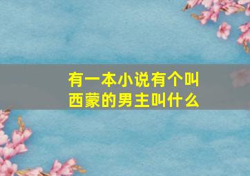 有一本小说有个叫西蒙的男主叫什么