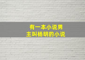 有一本小说男主叫杨明的小说