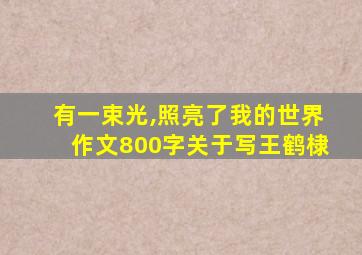 有一束光,照亮了我的世界作文800字关于写王鹤棣