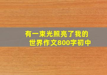 有一束光照亮了我的世界作文800字初中