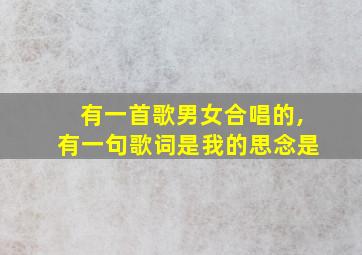 有一首歌男女合唱的,有一句歌词是我的思念是