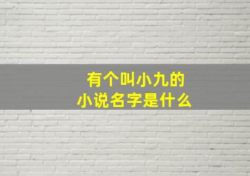 有个叫小九的小说名字是什么