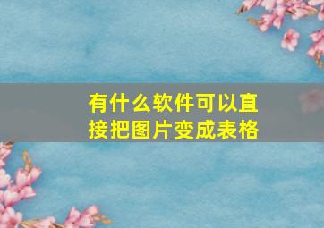 有什么软件可以直接把图片变成表格